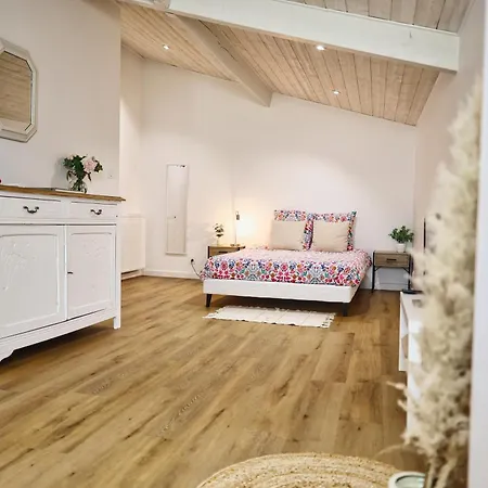 ベッド・アンド・ブレックファスト D'hotes Chateau Austerlitz 3*